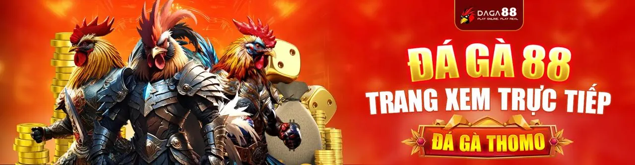 Sân đấu đá gà trực tuyến nk88now