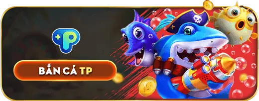 Tổng quan về Điều khoản và Điều kiện